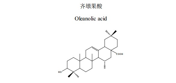 齐墩果酸对照品