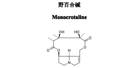 野百合碱（Monocrotaline）中药化学对照品