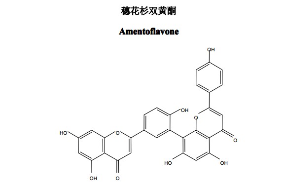 穗花杉双黄酮（Amentoflavone）中药化学对照品
