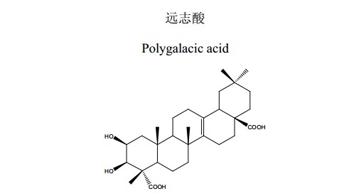 远志酸(Polygalacicacid)中药化学对照品