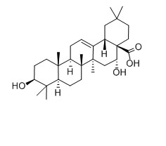 刺囊酸对照品