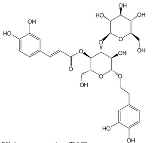 大车前苷对照品