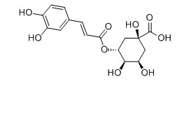 绿原酸对照品分子结构图