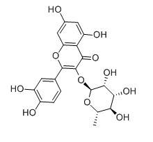 槲皮苷对照品