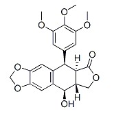 鬼臼毒素对照品