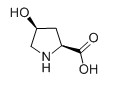 L-羟基脯氨酸对照品