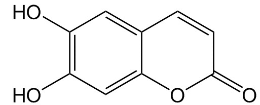 秦皮乙素对照品