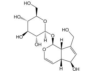 桃叶珊瑚苷对照品