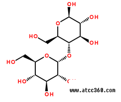 麦芽糖分子结构图