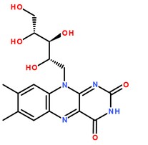 维生素B2分在结构图