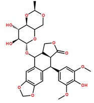 依托泊苷分子结构图