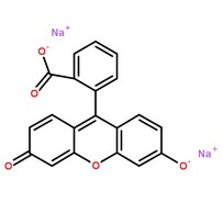 荧光素钠分子结构图