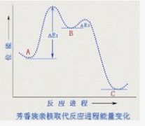 芳环上亲核取代反应历程能量变化