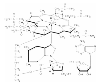 腺苷钴胺对照品