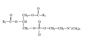 磷脂酰胆碱对照品