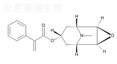 氢溴酸东莨菪碱杂质C标准品