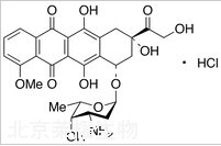 盐酸多柔比星标准品