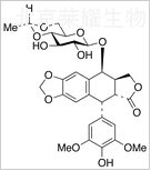 依托泊苷标准品