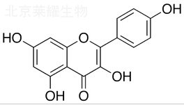 山奈酚标准品