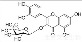 槲皮素-3-O-β-D-葡糖苷酸标准品