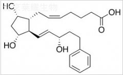 Bimatoprost Acid