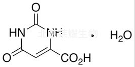 乳清酸一水合物