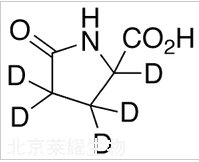 5-氧代-DL-脯氨酸-d5标准品