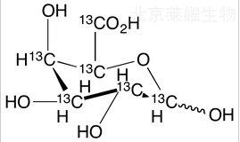 D-半乳糖醛酸-13C6标准品