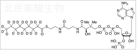 壬酰辅酶A-d17标准品