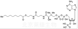 壬酰辅酶A标准品