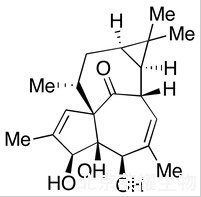 20-去氧巨大戟萜醇标准品