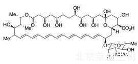 N-乙酰两性霉素B标准品