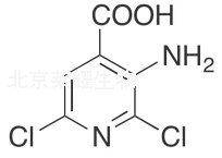 3-氨基-2,6-二氯异烟酸标准品