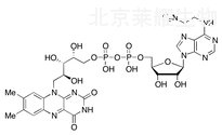 N6-(2-Aminoethyl)-FAD标准品