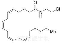Arachidonyl-2-chloroethylamide