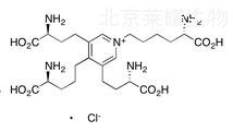 锁链素氯化物