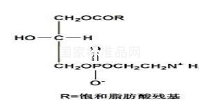 溶血磷脂酰乙醇胺对照品