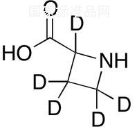 D,L-Azetidine-2-carboxylic Acid-d5