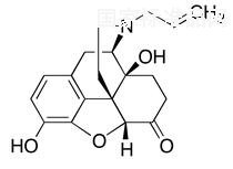 纳洛酮标准品
