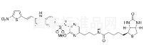 Biotin-Necrosulfonamide Propyl Amide