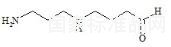N-(3-Aminopropyl)-4-Aminobutanal