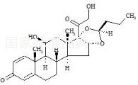 布地奈德-22S标准品