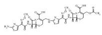 头孢噻肟二聚体
