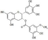 Epigallocatechin 3-O-(3-O-Methyl)-Gallate