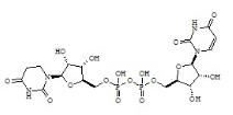 P1, P2-Di(Uridine-5')-Diphosphate