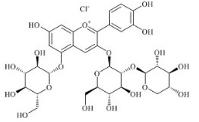 矢车菊素-3-桑布双糖苷-5-葡萄糖苷标准品