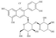 矢车菊素-3-桑布双糖苷标准品