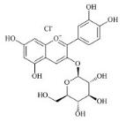 矢车菊素-3-O-葡萄糖苷标准品
