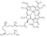 叶绿素b标准品