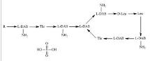 硫酸粘杆菌素（A和B化合物的混合物）